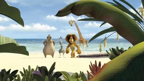 9 meglepő tény a Madagaszkárról, amit talán te sem tudtál 